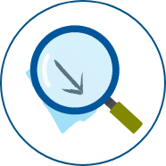 Icon Magnify