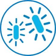 gut dysbiosis