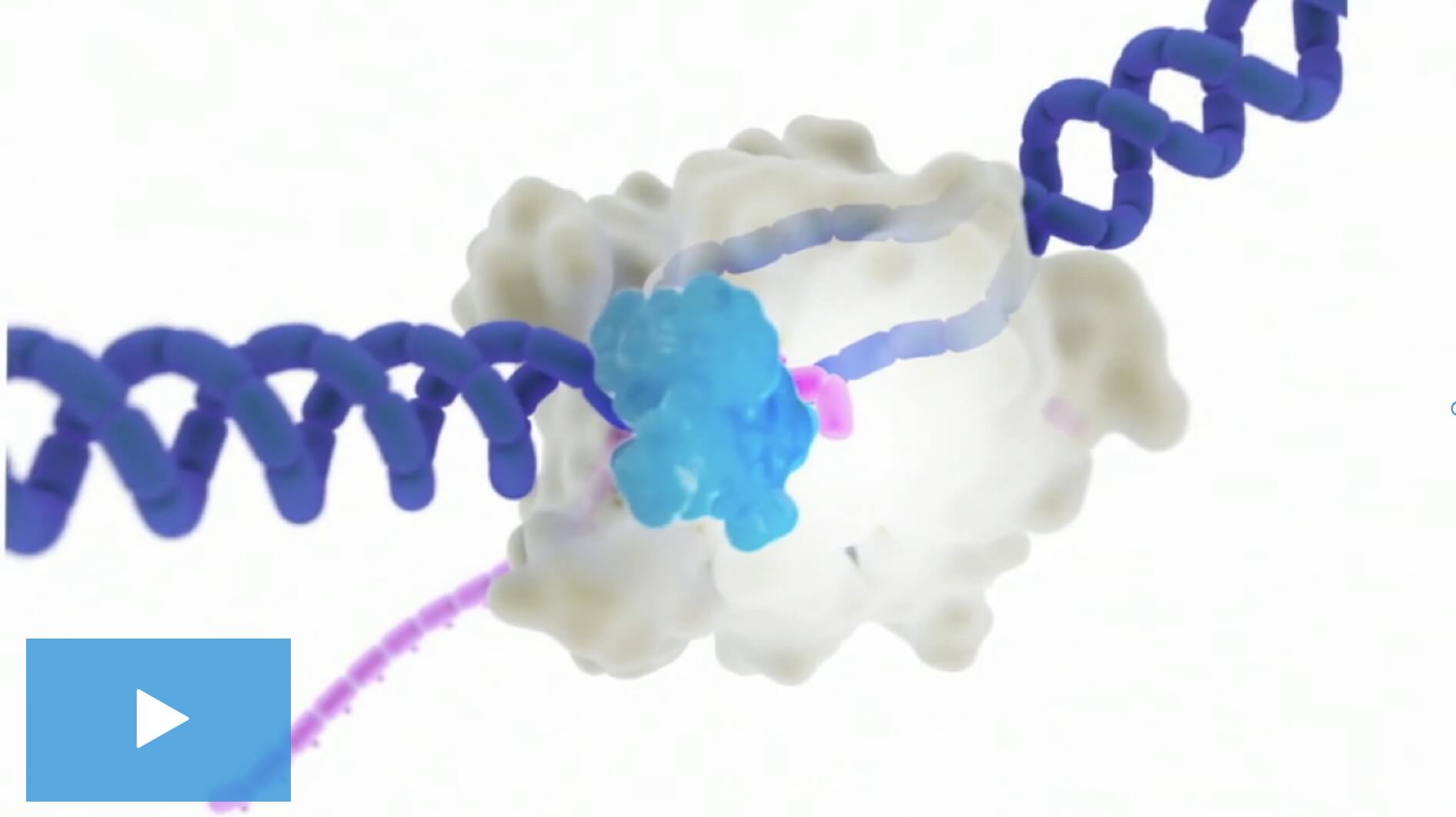 XIFAXAN MOA video thumbnail