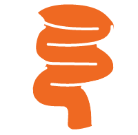 Stomach-Icon